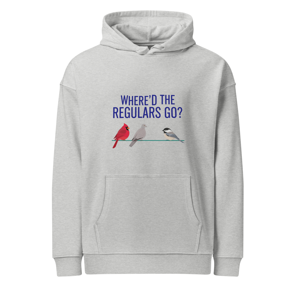 Backyard Bird Hoodie in Heather Grey, front view: WHERE'D THE REGULARS GO? above three birds with a gap