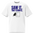 Bird Shirt in Faded White, front view: SAW IT. THAT COUNTS. above a bird beside an empty photo frame