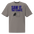 Bird Shirt in Faded Grey, front view: SAW IT. THAT COUNTS. above a bird beside an empty photo frame