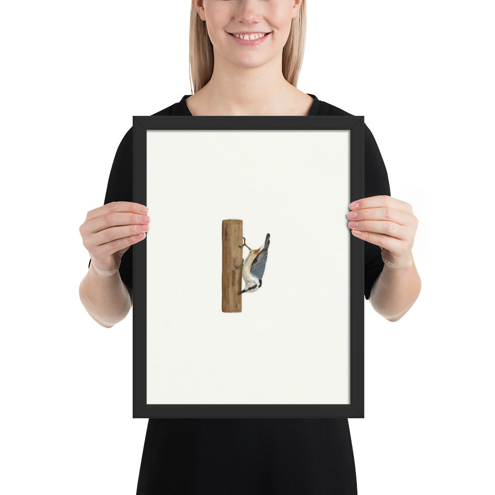 Person holding the 12x16 A Different Way Down framed nuthatch print to show its size