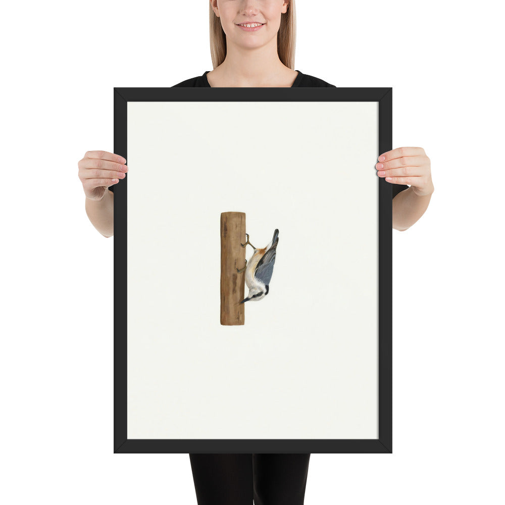 Person holding the 18x24 A Different Way Down framed nuthatch print to show its size