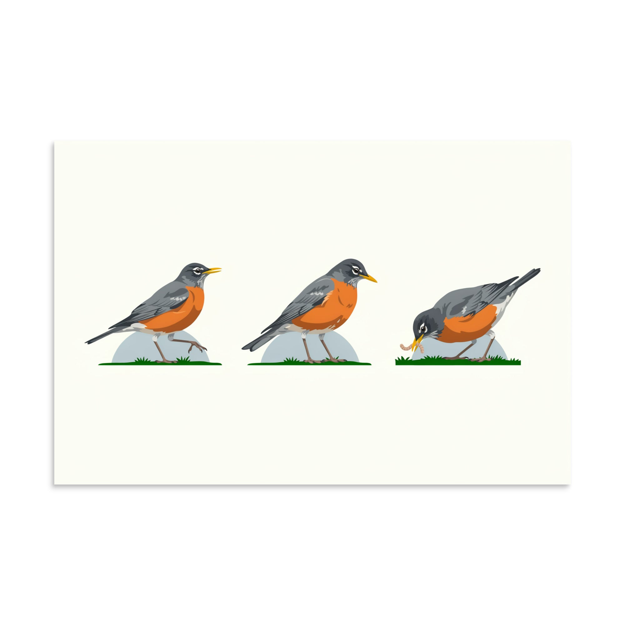 Pause, Look, Pull unframed American robin poster, front view: three robins in a row, one running, one pausing to look and one pulling a worm from the grass, on an ivory field. Frame not included.