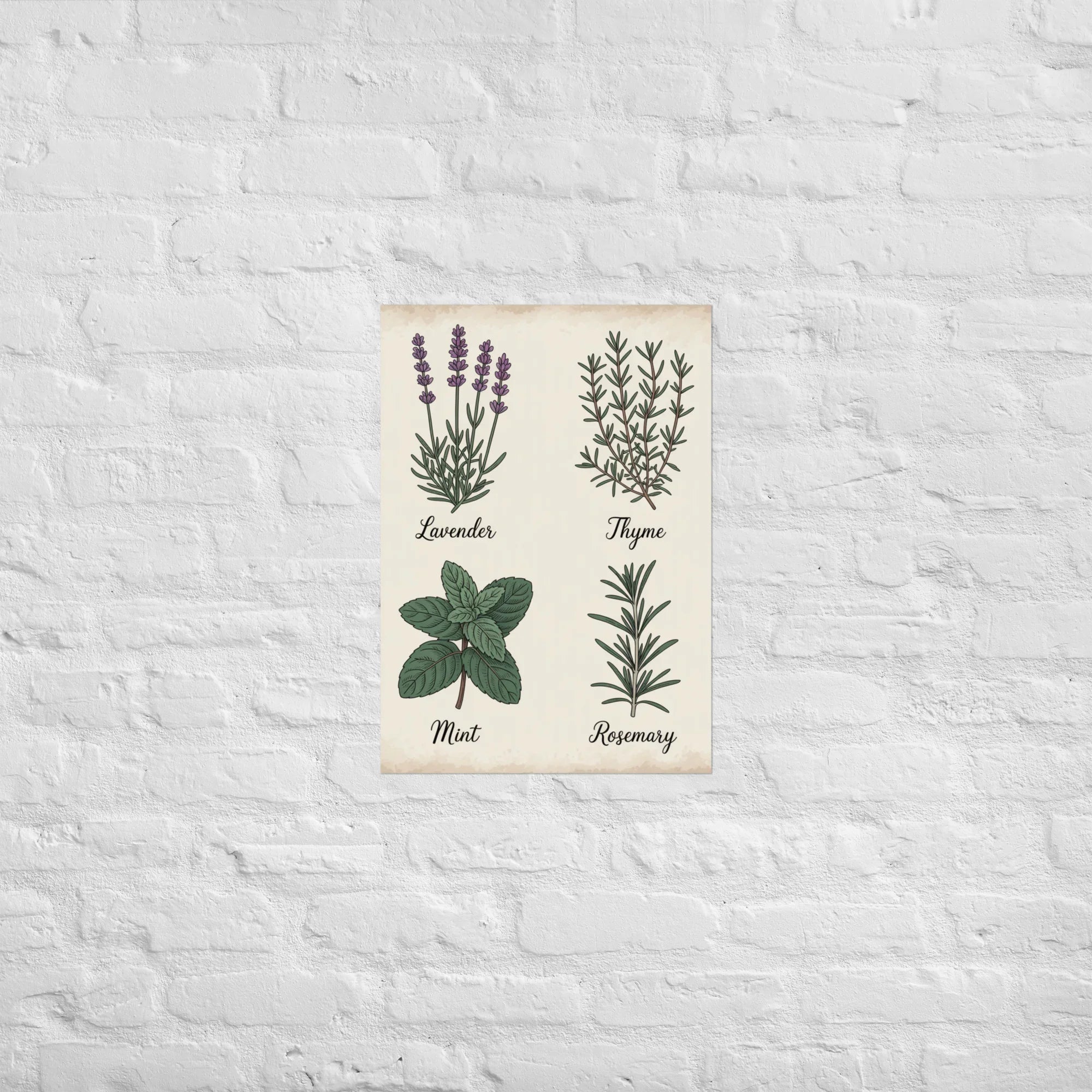 Herb Chart Poster – Vintage Botanical Wall Print - RaZits