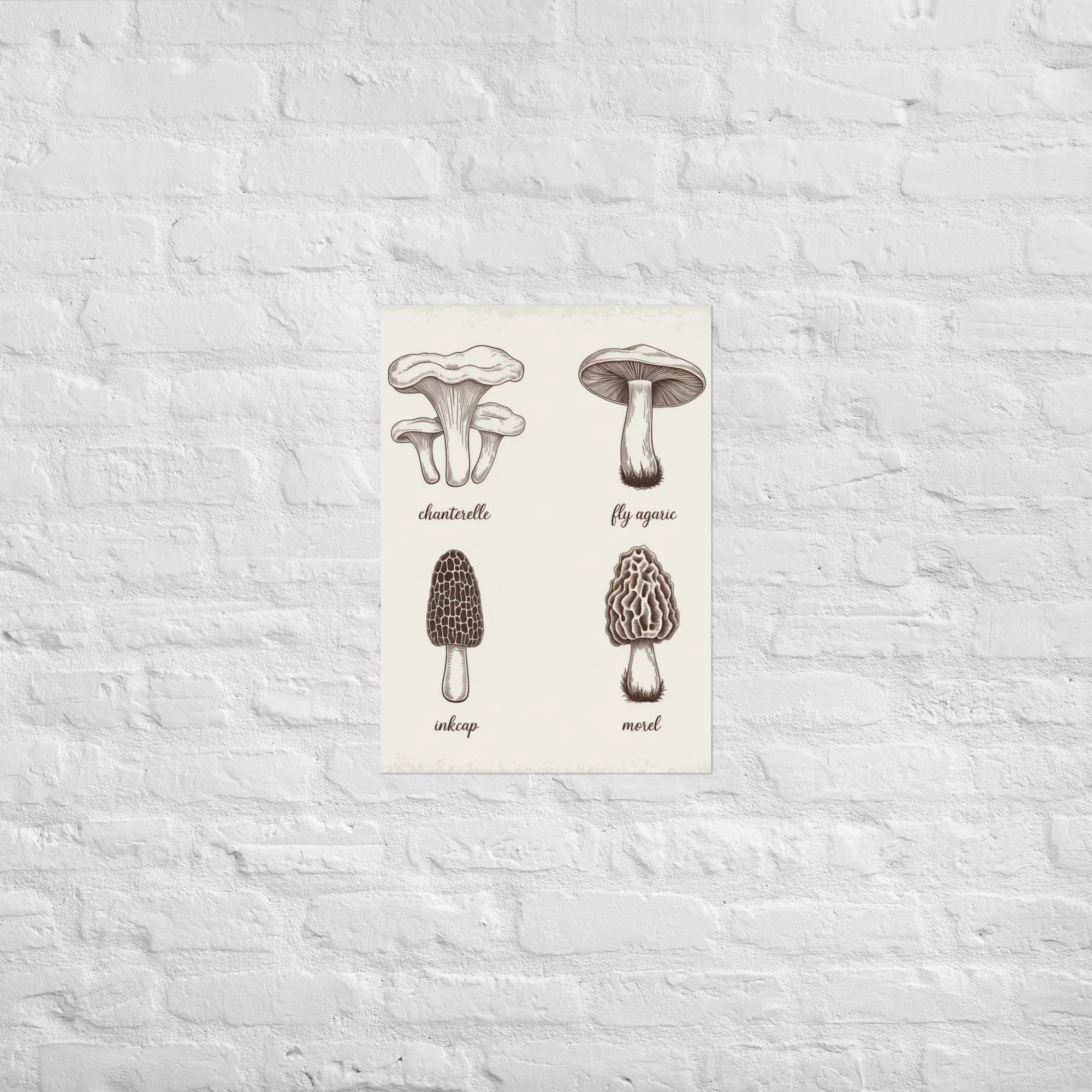 Mushroom Identification Poster – Vintage Fungi Chart Print - RaZits
