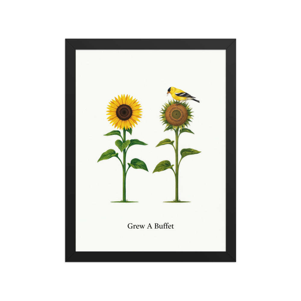 Grew A Buffet framed goldfinch wall art in a black frame: a sunflower in bloom beside a seed head with a feeding American Goldfinch