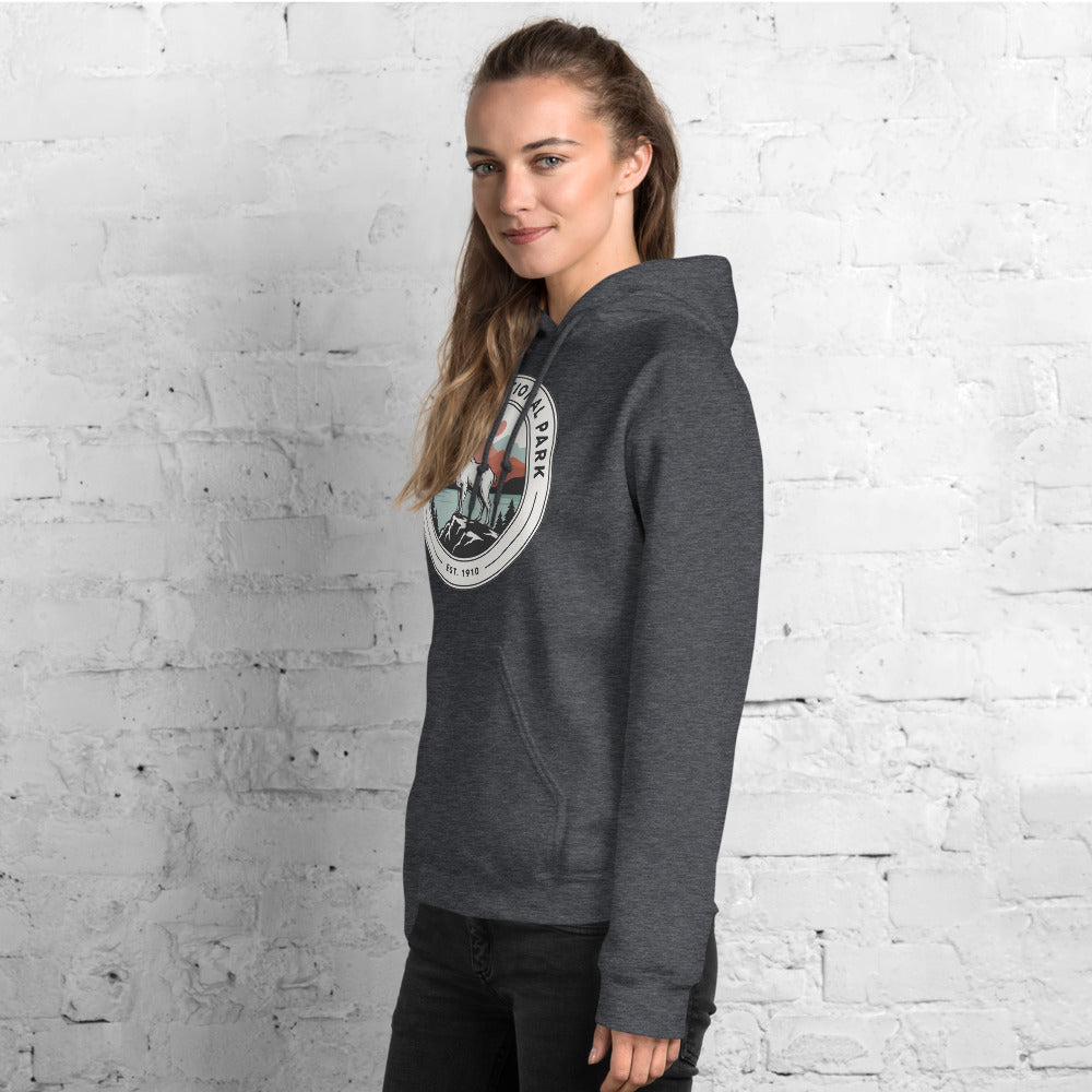 Glacier National Park vintage mountain goat badge hoodie in dark heather grey worn by a woman, side angle