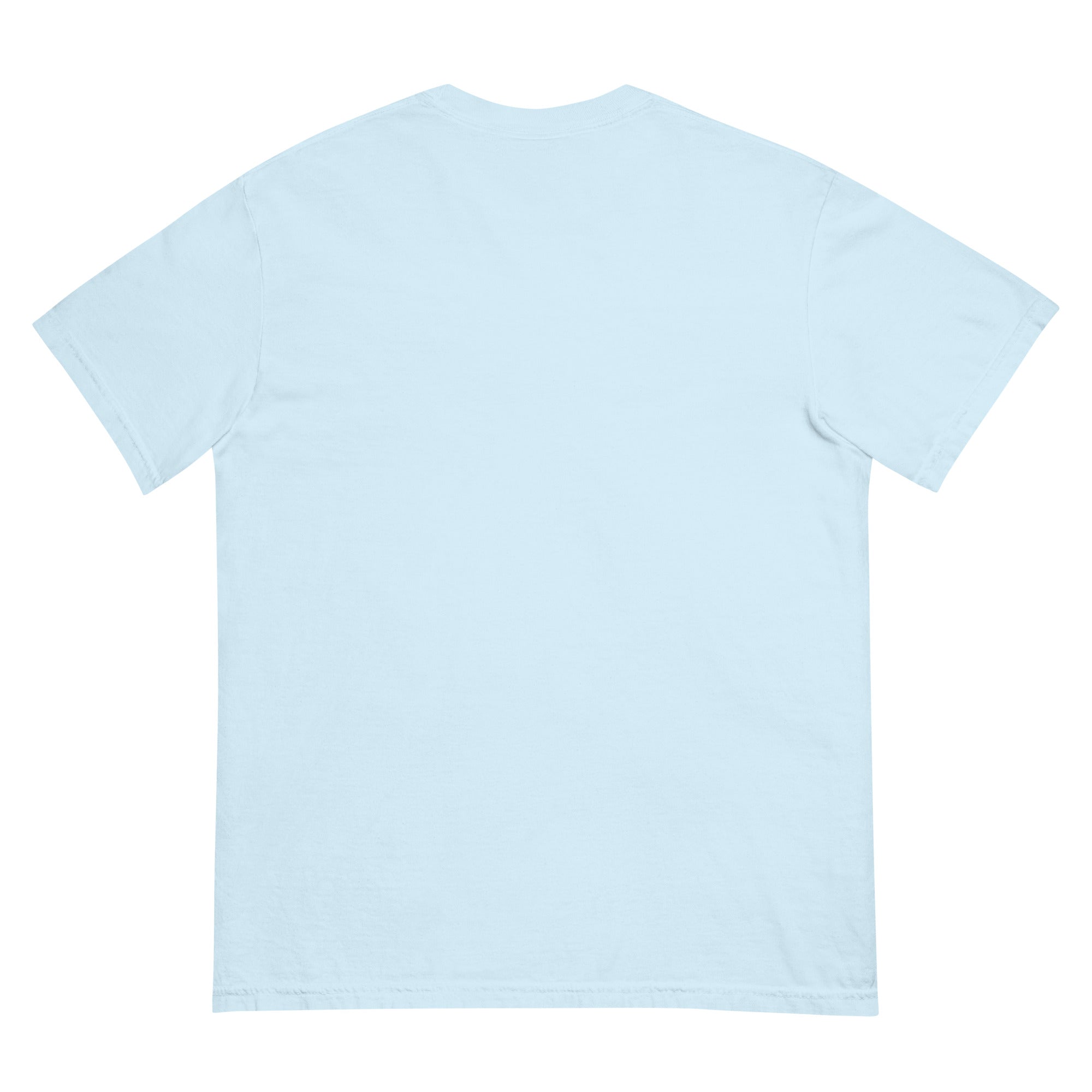 Chambray Pattern Learning Circle constellation tee laid flat, plain back
