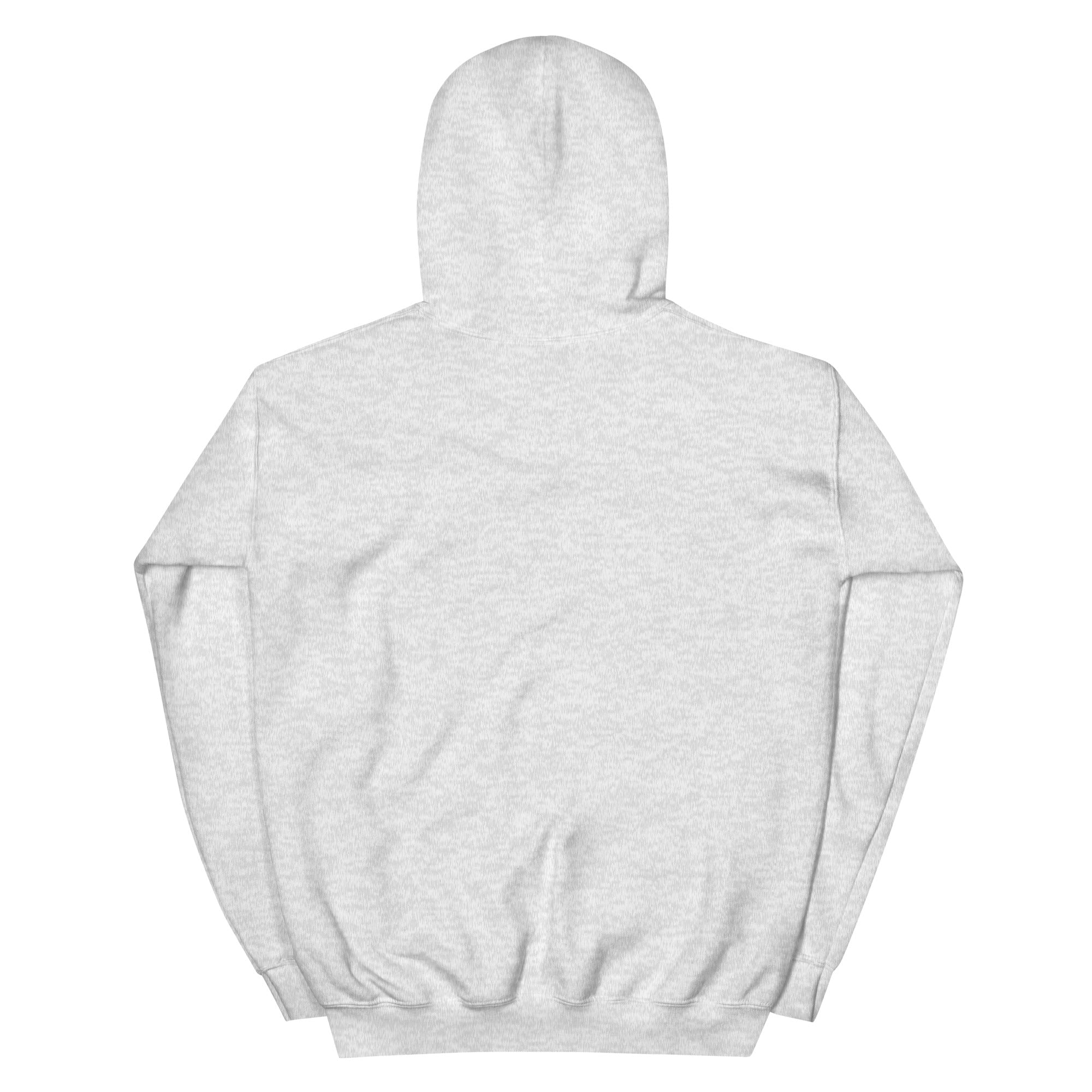 Back of the ash Field Work astronomy hoodie, plain with hood