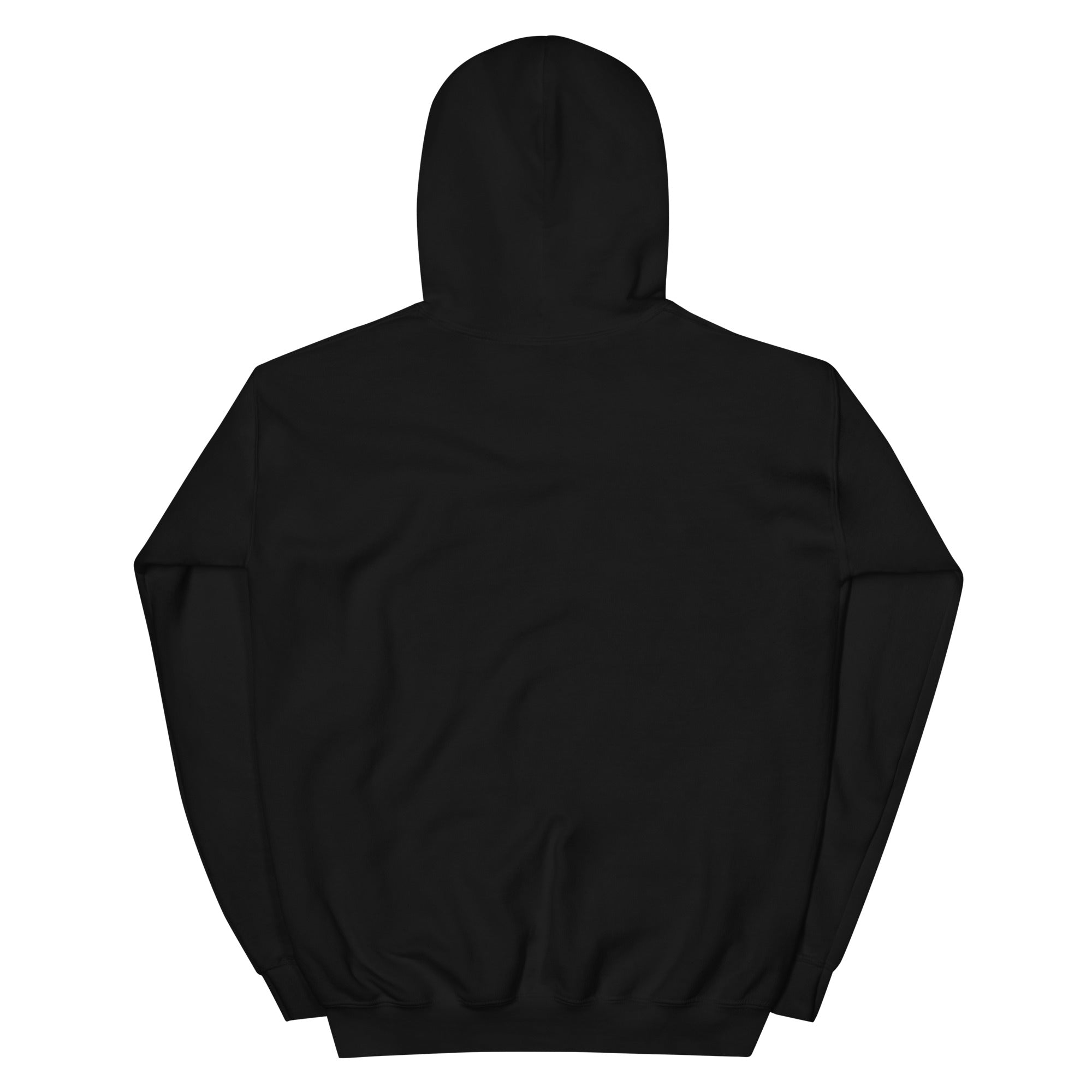 Back of the black A Count, Not the Whole Account star party hoodie, plain with hood