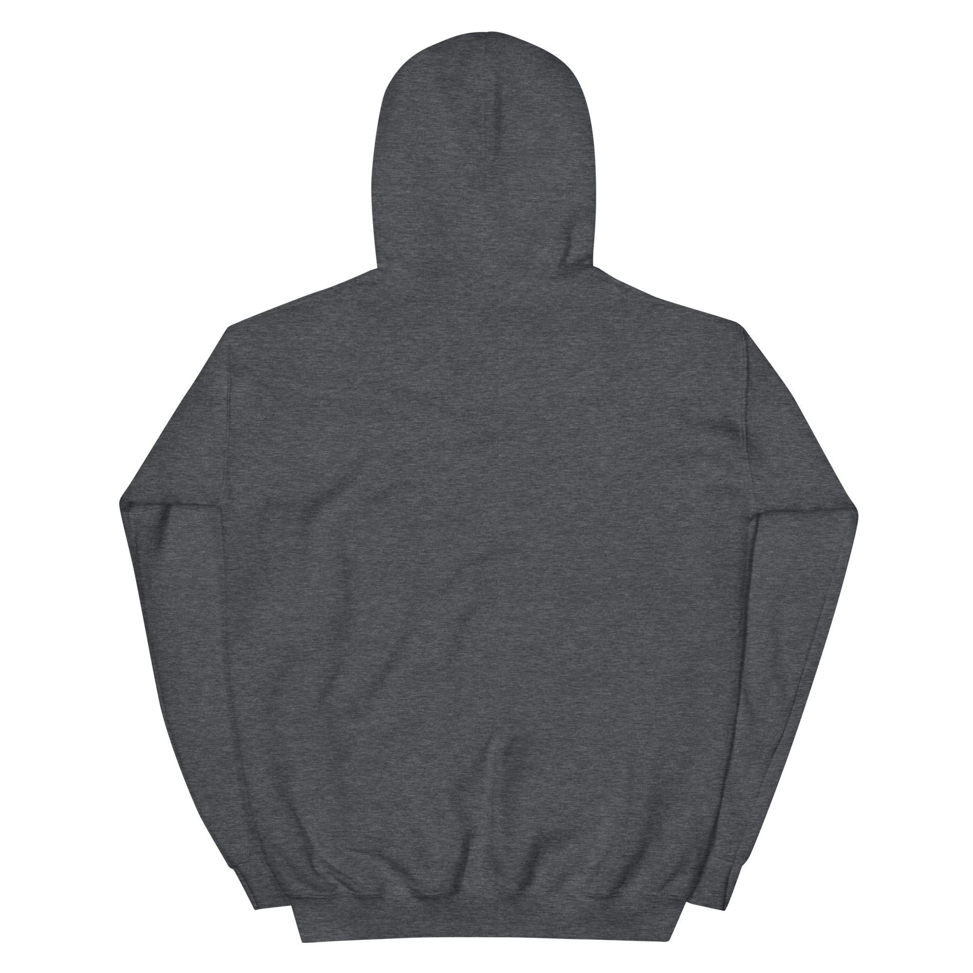 Back of the dark heather Faint Cloud Search Party nebula hoodie, plain with hood