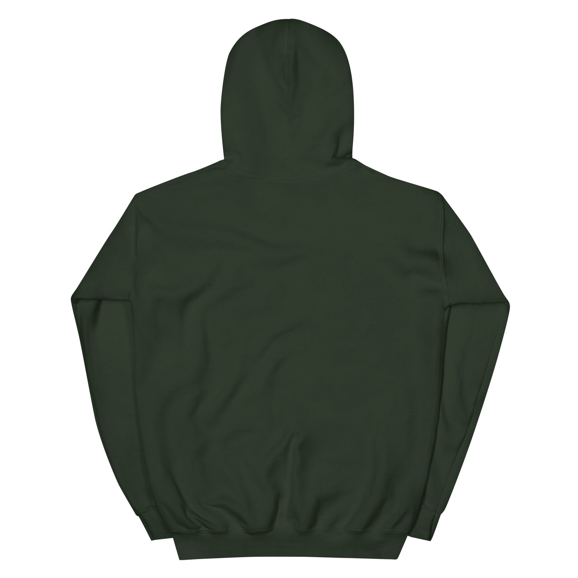 Back of the forest green Star Hopping hoodie, plain with hood