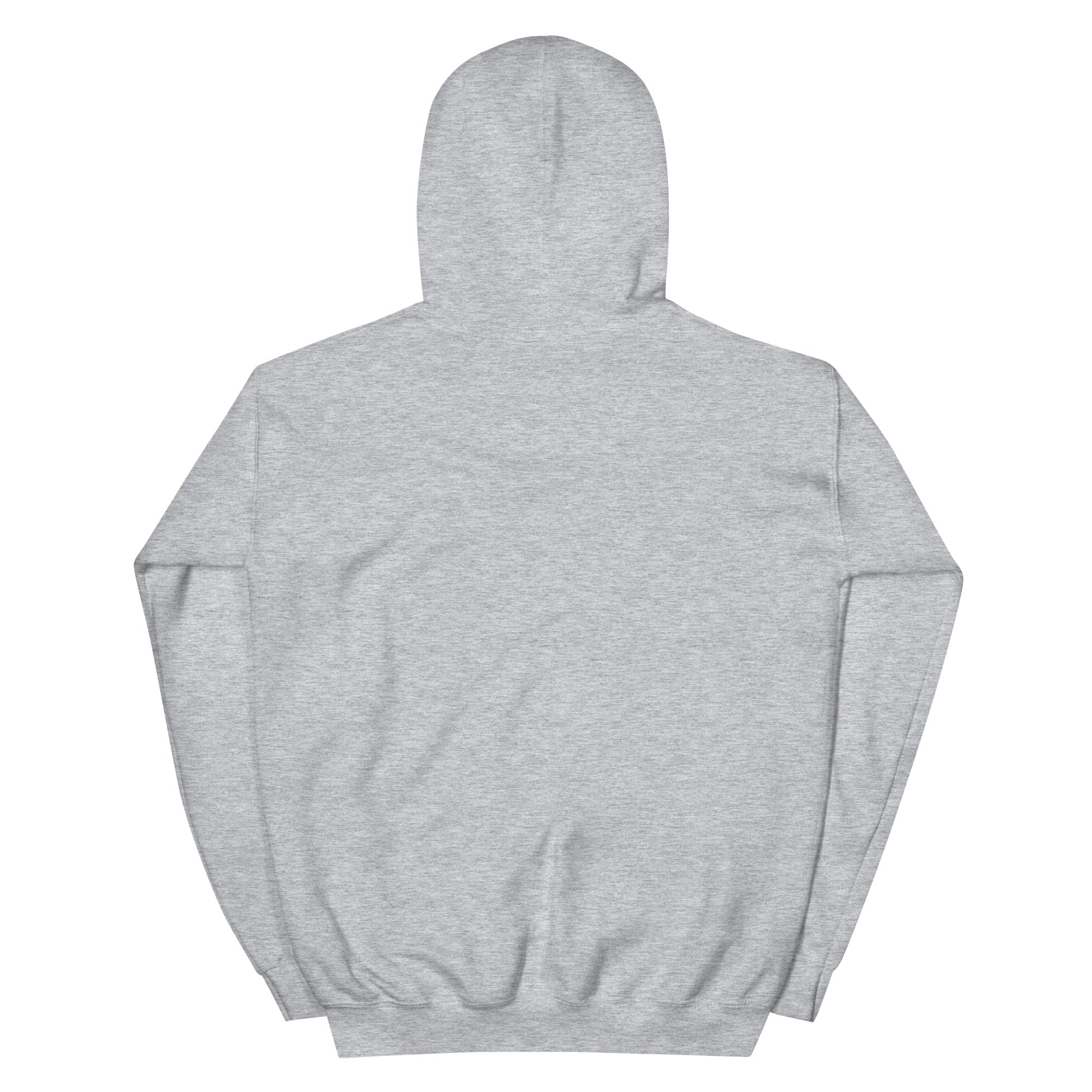 Back of the sport grey Field Work astronomy hoodie, plain with hood