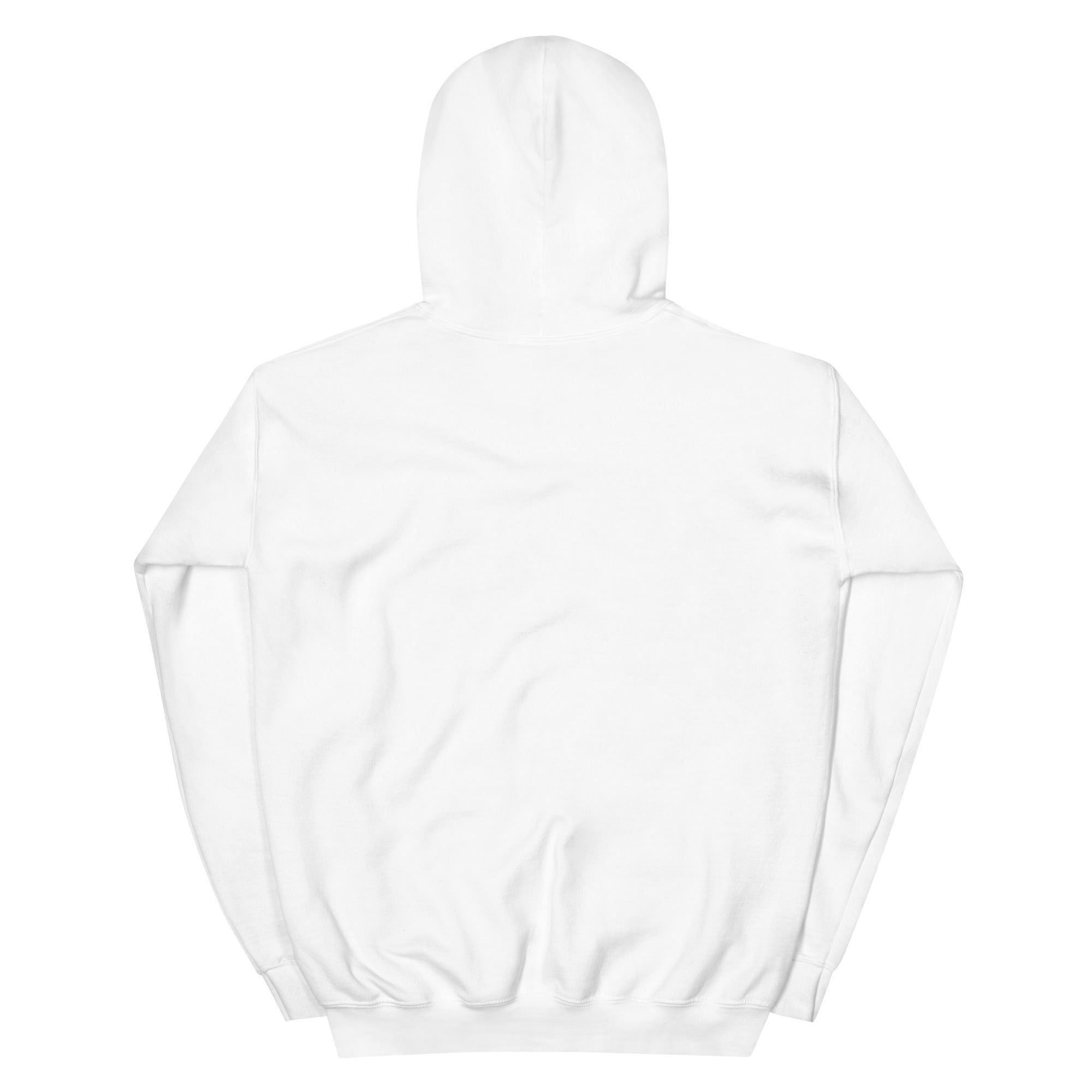 Back of the white Field Work astronomy hoodie, plain with hood