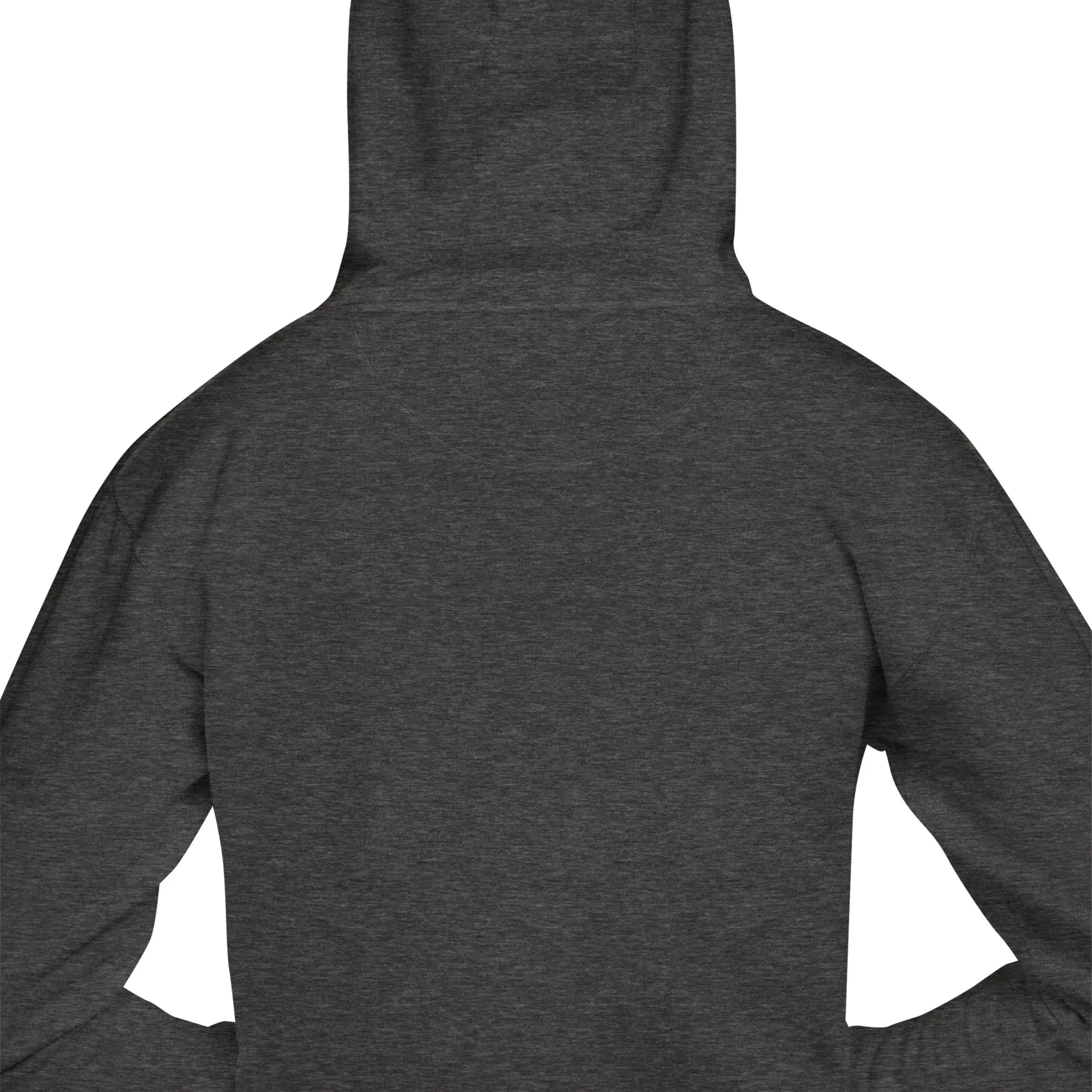 Anthem Pulse Power Hoodie - RaZits