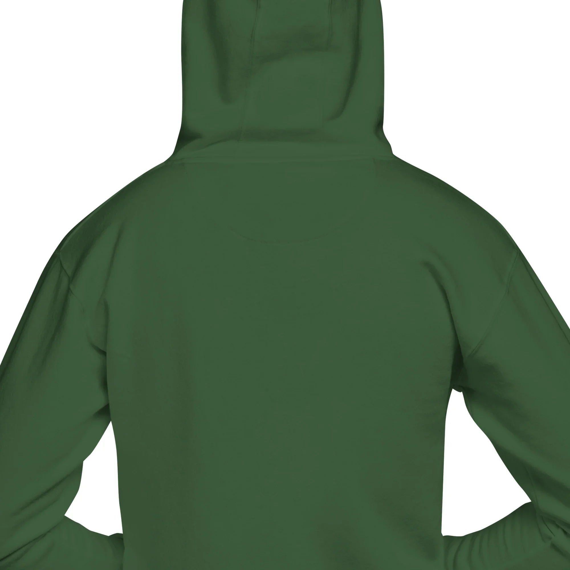 Inner Tunes Hoodie – Minimalist Music Soulwear - RaZits