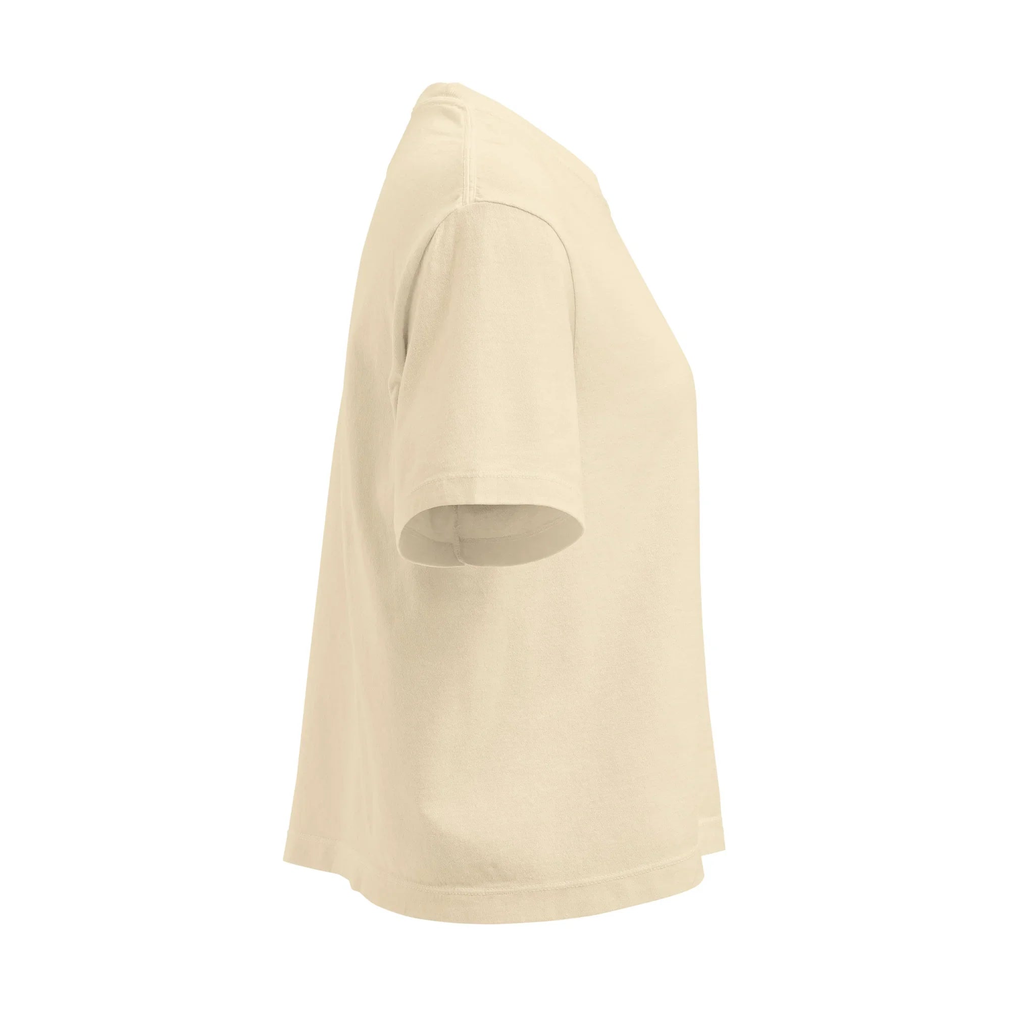 Fight Hard, Win Proud - 2D Fighter T-Shirt - RaZits