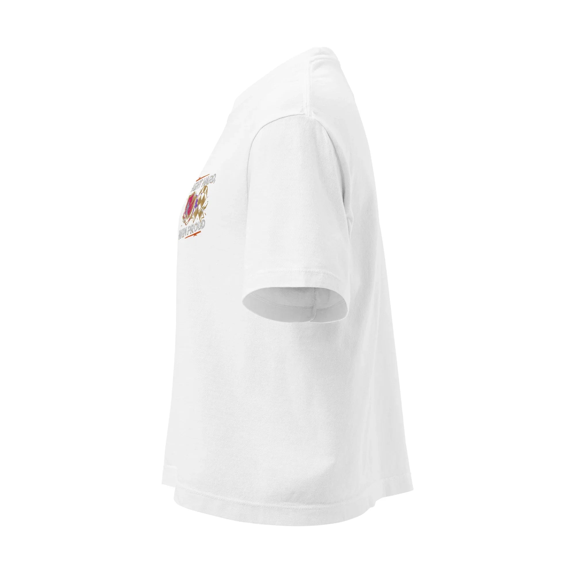 Fight Hard, Win Proud - 2D Fighter T-Shirt - RaZits